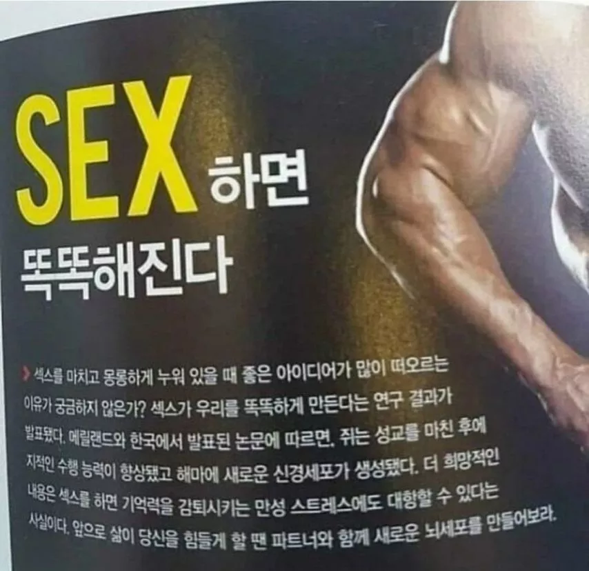 본문 이미지