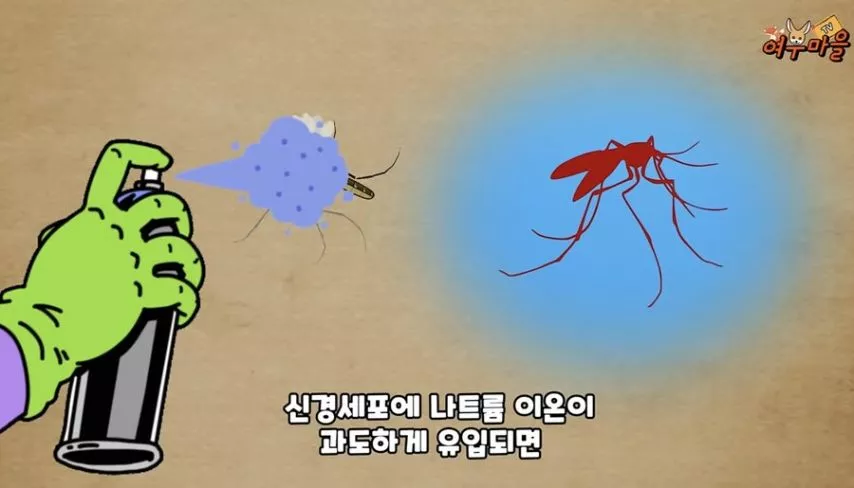 본문 이미지